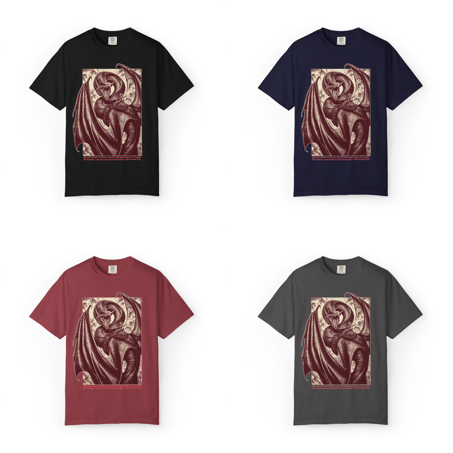 'DRAGON RIDER' T-Shirt