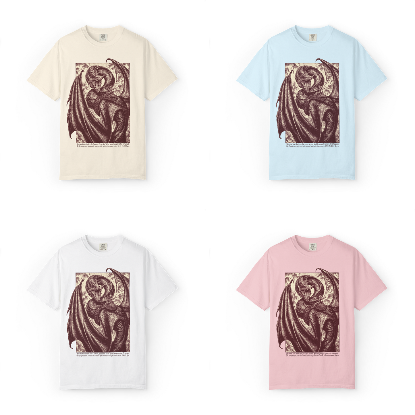 'DRAGON RIDER' T-Shirt